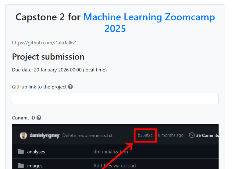 Project submission form